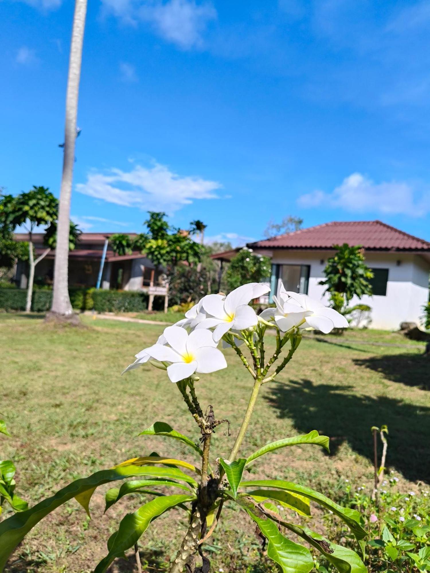 The Lodge At Koh Kood Ko Kut Экстерьер фото